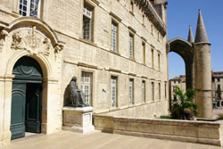 Le musée Languedocien