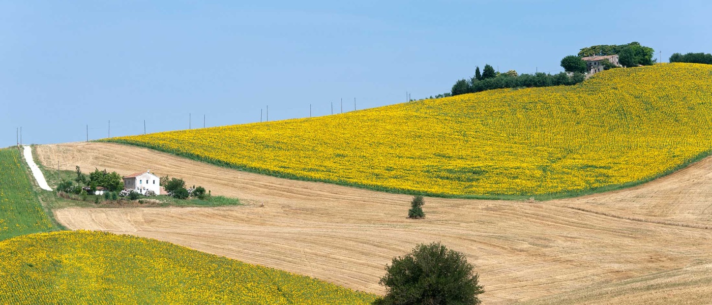 Location voiture pas cher Ancone